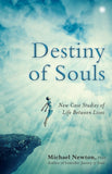 Destiny of Souls Paperback –by Michael Newton