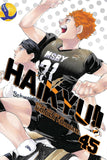 Haikyu!! Vol. 45 - Paperback – by Haruichi Furudate
