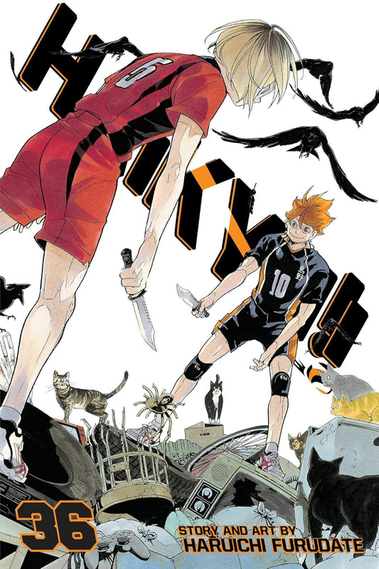 Haikyu, Vol. 36: Paperback – by Haruichi Furudate