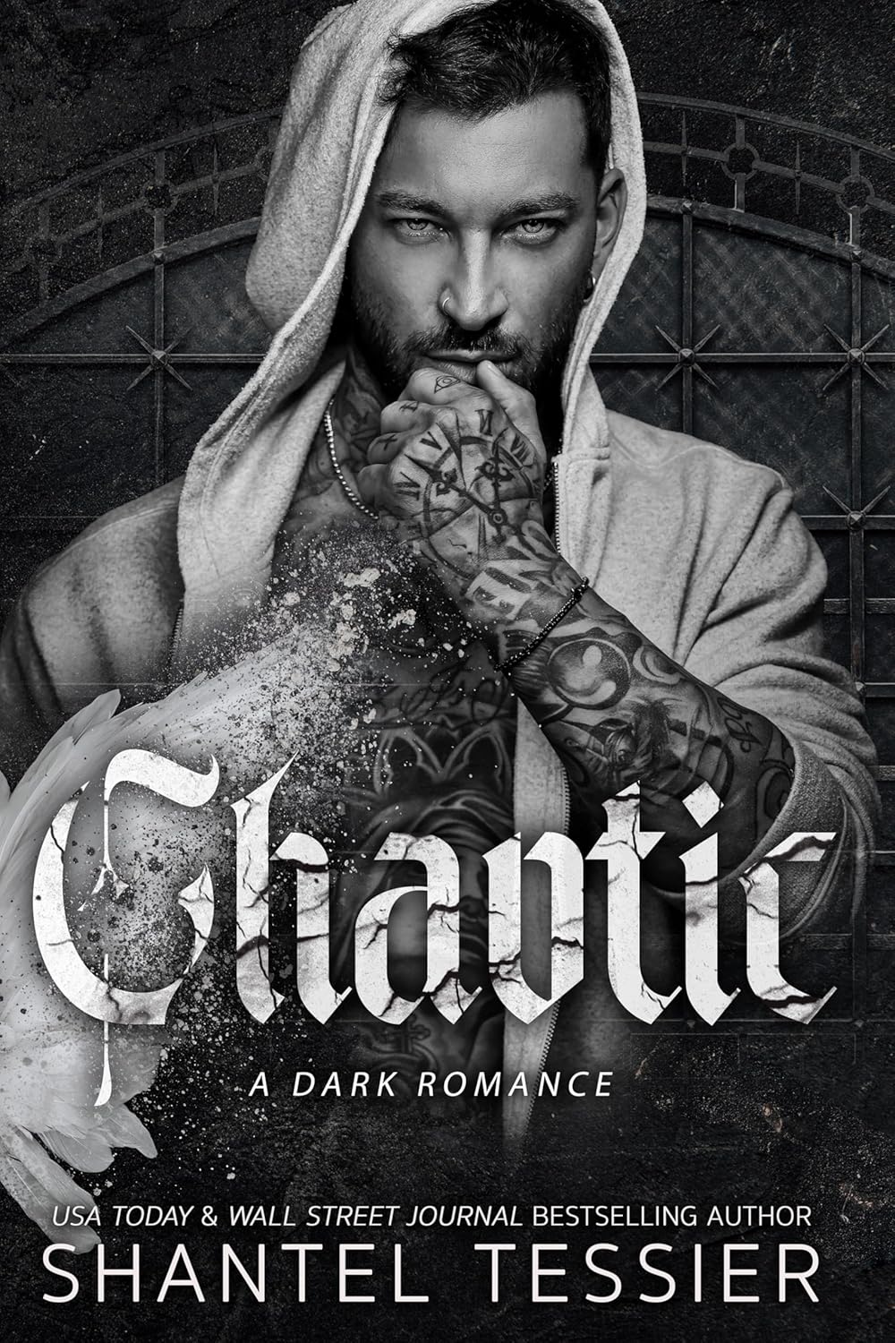 Chaotic: A Dark Romance by Shantel Tessier