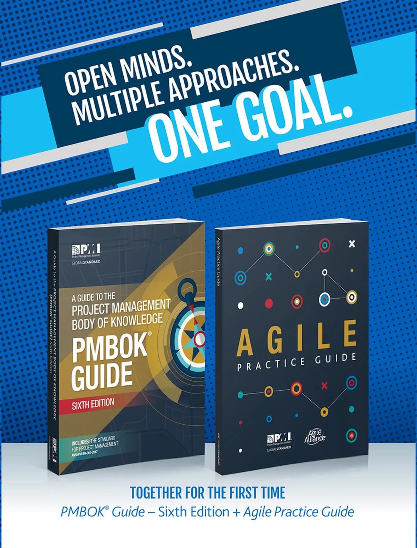 A Guide to the Project Management Body of Knowledge (PMBOK(R) Guide–Sixth Edition / Agile Practice Guide Bundle (Pmbok Guide) Sixth edition ISBN: 9781628253825 - bestbooksdeals