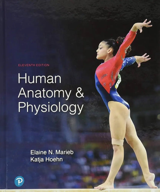 Human Anatomy & Physiology 11th Edition ISBN: 978-0134580999 - bestbooksdeals